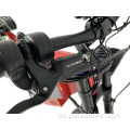 SS30 Enduro Ebike 3000W 5000W Motocicleta de bombardero sigiloso